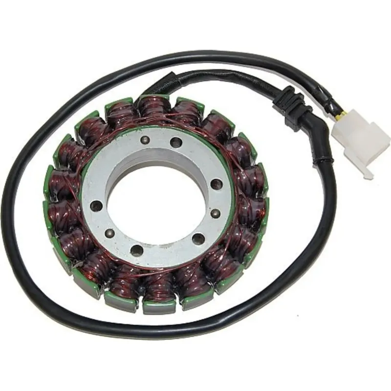 Objednat Nyní Stator zapalování, stator alternátoru, Electrosport ESG087