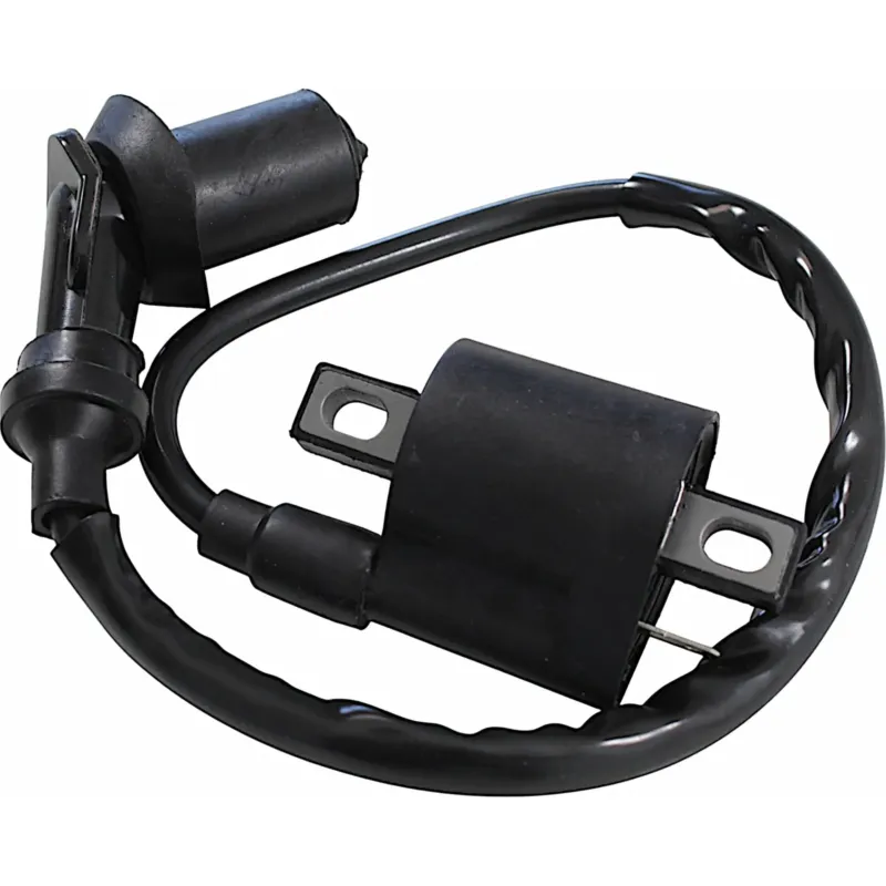 Dokud Zásoby Vydrží Zapalovací cívka, Power Force, ATV Quad Bashan BS250S-5